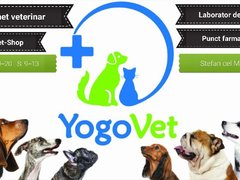 Yogo Vet - Cabinet Veterinar